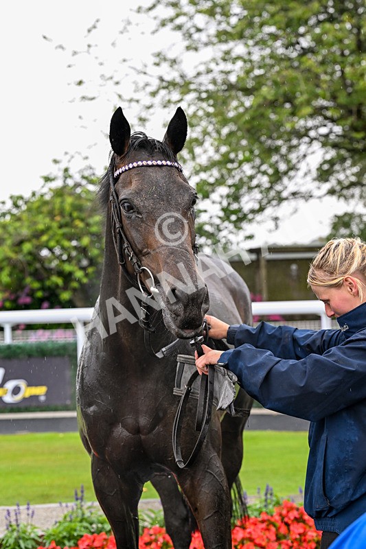 150725-Race 3-Time Tells All-0409 - Race 3