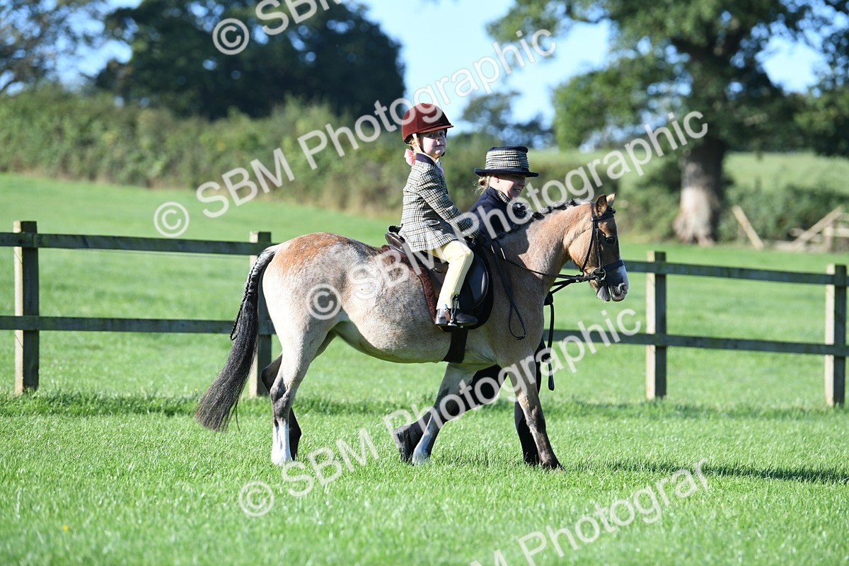 SBM_35288 - S17 - Condition & Turnout - Lead Rein