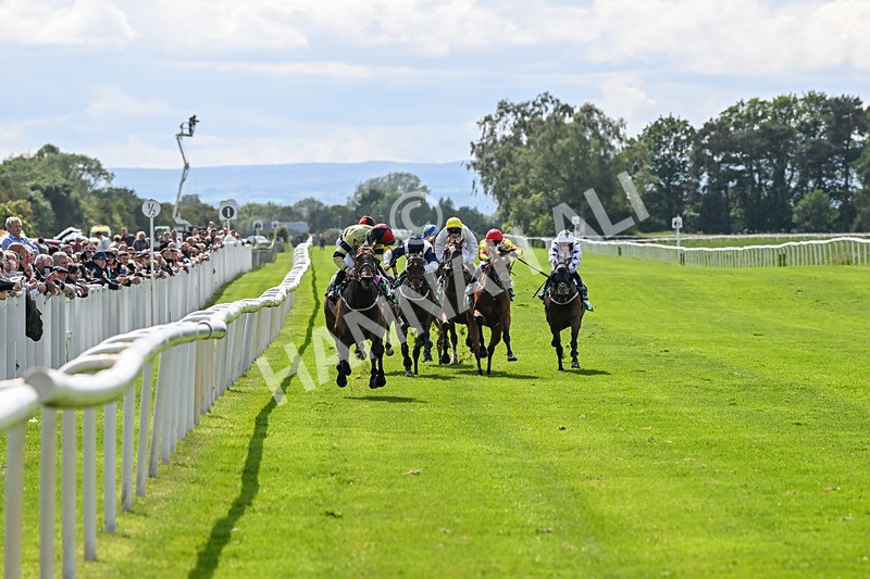 060625-Race 5-Miss Brazen-4893 - Race 5