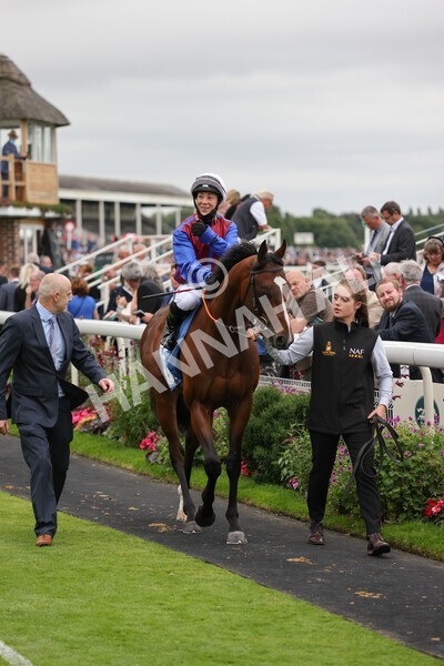 yr18082021r7-8 - Race 7 5.20pm Sky Bet Nursery Handicap