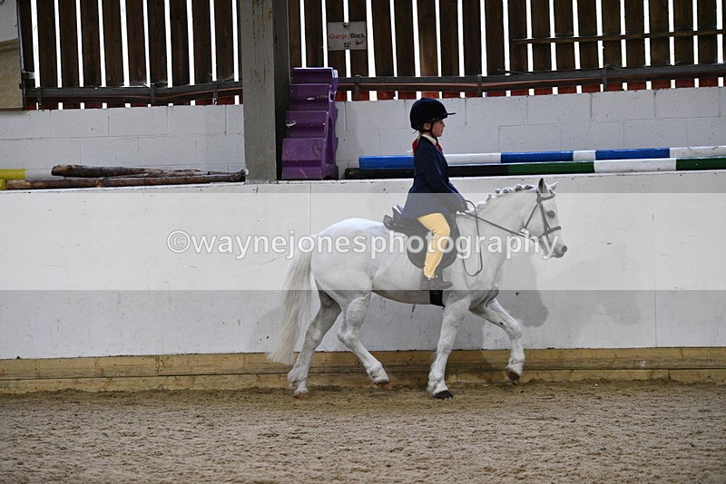 WJ5_7168 - Class 11 Ridden PC - RC Pony