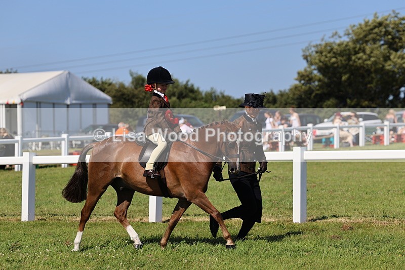 IMG_1841 - Plaited Mini Ridden Championship