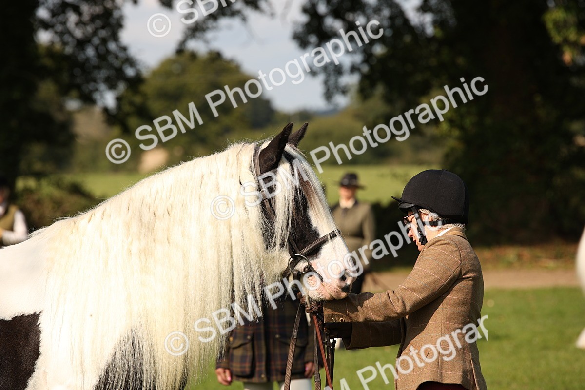 SBM_62258 - S55 - Traditional Cob In Hand