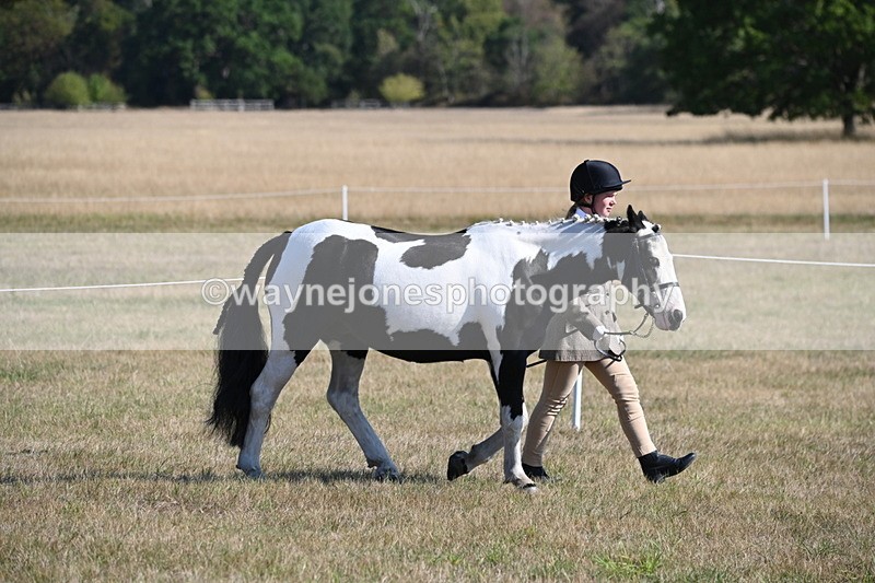 WJ6_7176 - Class 33 Rescue Pony
