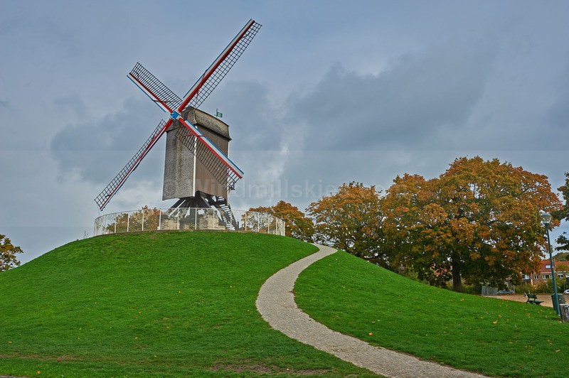 1022_84 - Belgium and Netherlands
