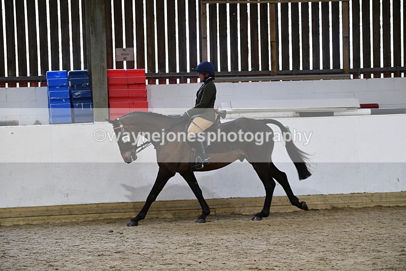WJ5_8018 - Class 13 Ridden Part Breed
