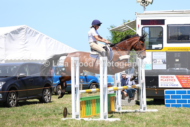3E7A5499 - Class 9: Senior British Novice/90cm open