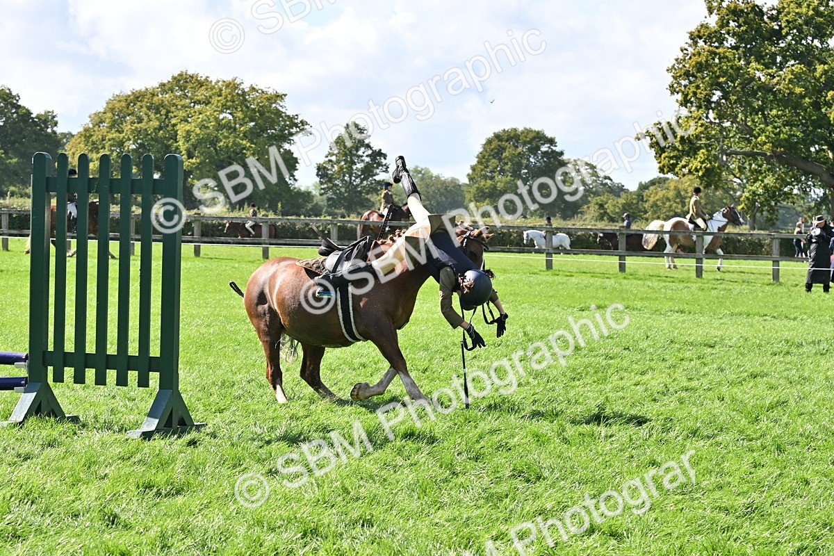 SBM_44536 - S13 - Pony Club Pony