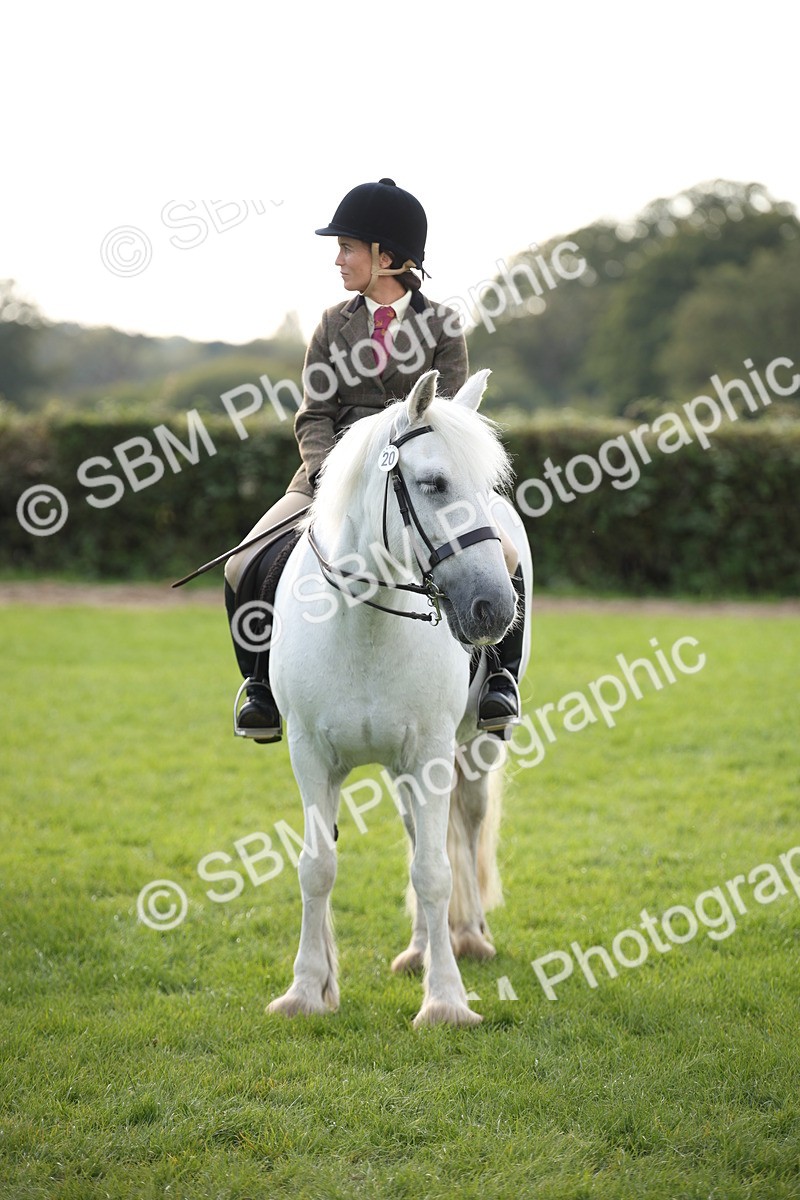 SBM_54267 - S27 - Mature Veteran - Ridden