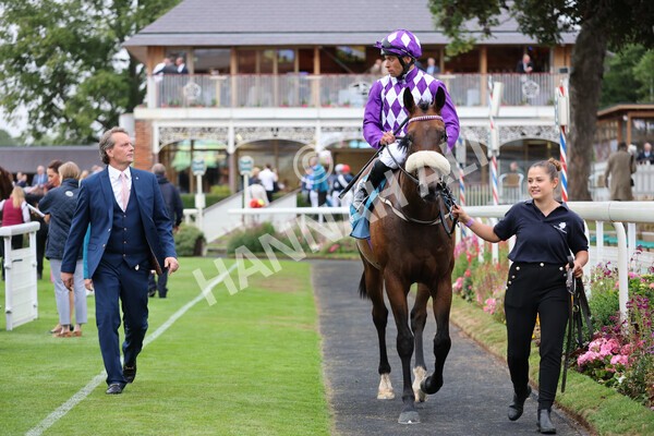 yr22072022r4-52 - Race 4 6.50pm The IRE Incentive It Pays To Buy Irish EBF Restricted Novice Stakes