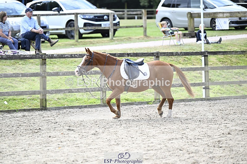 240823X-130453-17390 - 60cm R2 12.30 to 14.40 - All Photos