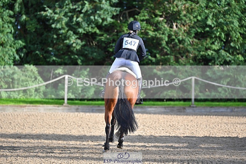 241027-135104-17629 - 547-Lara.Salter-NAOMIE.VAN.DE.BROUWERSHOEVE