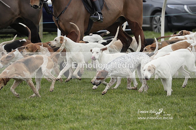 PtP 050323 519 - Blackmore & Sparkford Vale Hunt PtP - Somerset 05/03/23