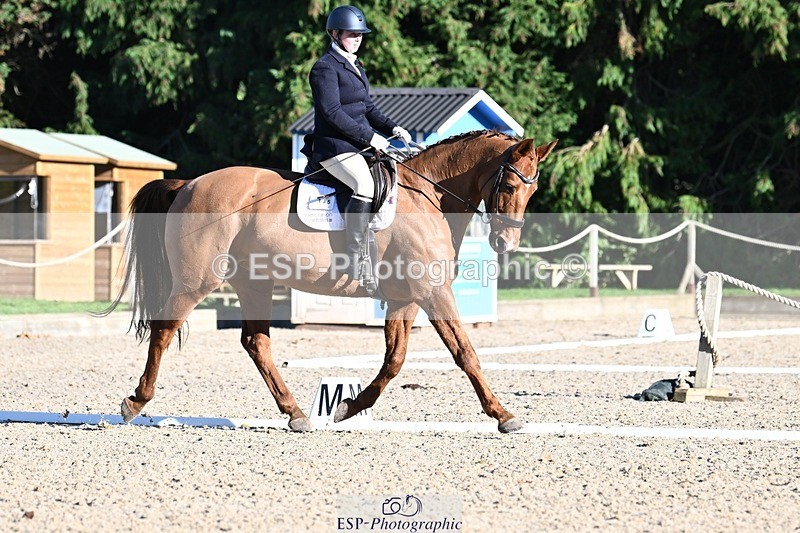 231110-131254-00878 - Cls 4 Novice 39Q