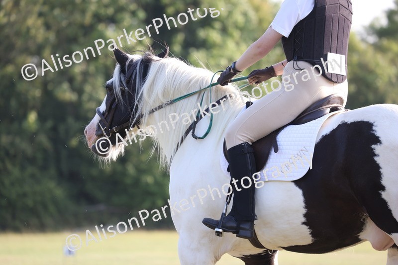 20250731-0729 - Class 1 - Intro 4