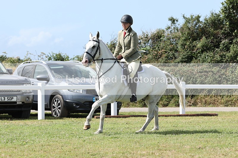 JPP_2427 - Class 19: Working Hunter 60cm