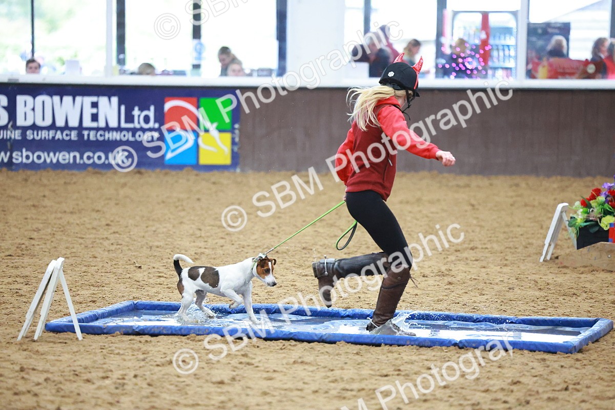 SBM_002126 - Class 3 - Horse & Hound (60cm)