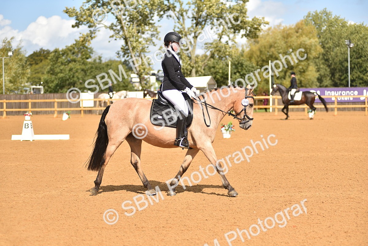 SBM_19934 - D4 - Small Tour Championship Intro 4