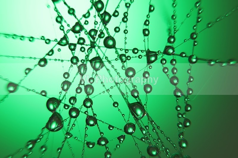 Green - Other