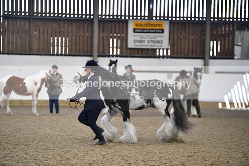 WJ5_4687 - Class 7 In hand coloured / odd coloured