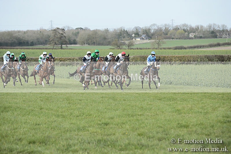 PtP 230319 405 - VWH Hunt Siddington Point-to-Point Racing 23/03/19