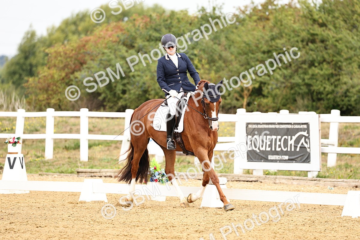 SBM_012303 - Class 2 - Prelim 5