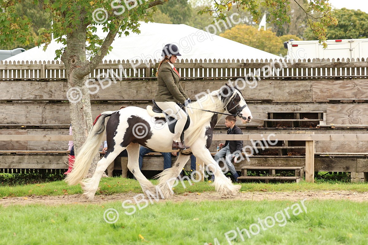 SBM_64432 - S58 - Coloured Pony Ridden