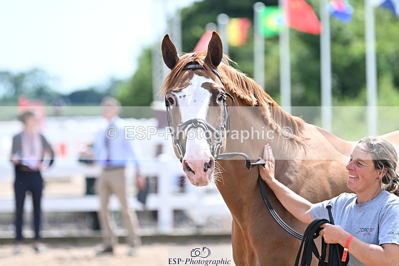 240717A-144803-02298 - Trot Up 2pm to 3pm - This folder is not in time order