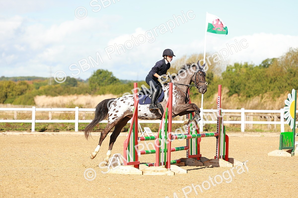 SBM_000382 - Class 2 - Senior British Novice - 90cm