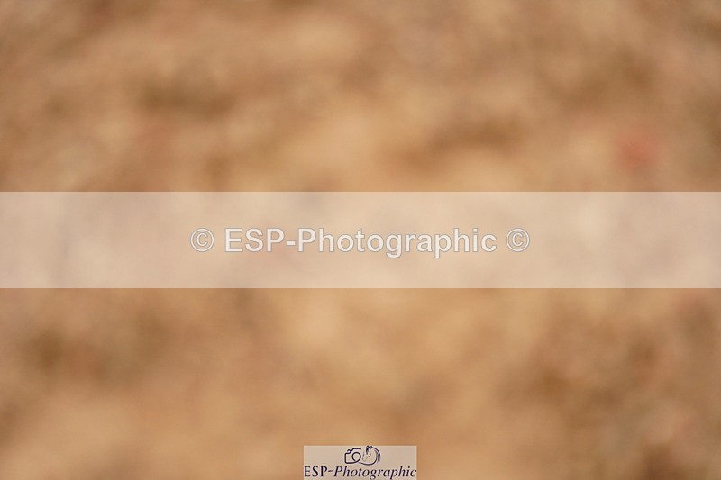 240524A-134418-04059 - Cls 17 National 1.30m