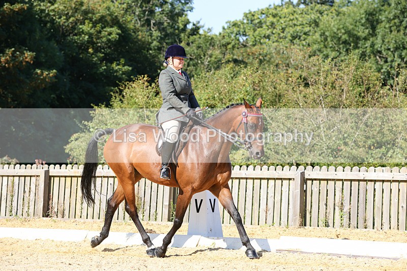 1X9A7849 - Class 10:Riding Horse