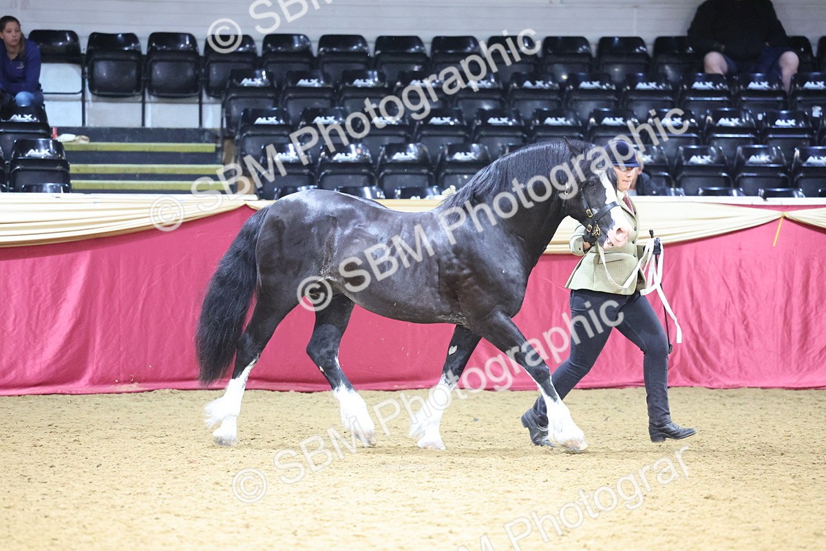 SBM_20979 - Class 902 - Supreme Final IH Veteran