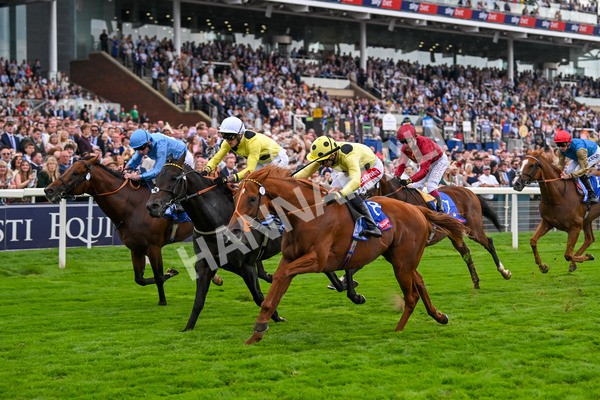230825-Race 1-King Of Cities-9587 - Race 1 1.50pm Sky Bet Strensall Stakes
