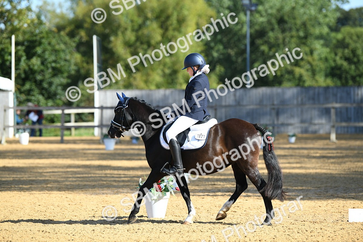 SBM_16335 - D4 - Small Tour Championship - Intro B