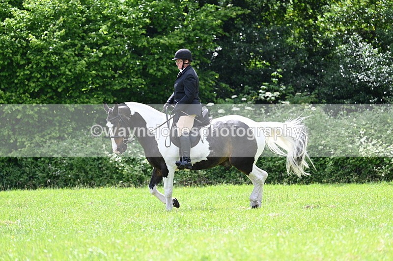 WJ7_2627 - Class 12A Coloured Class