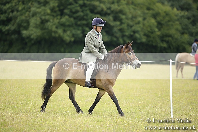 BVR160717-55 - Ring 1 BVRC Show 16/07/17