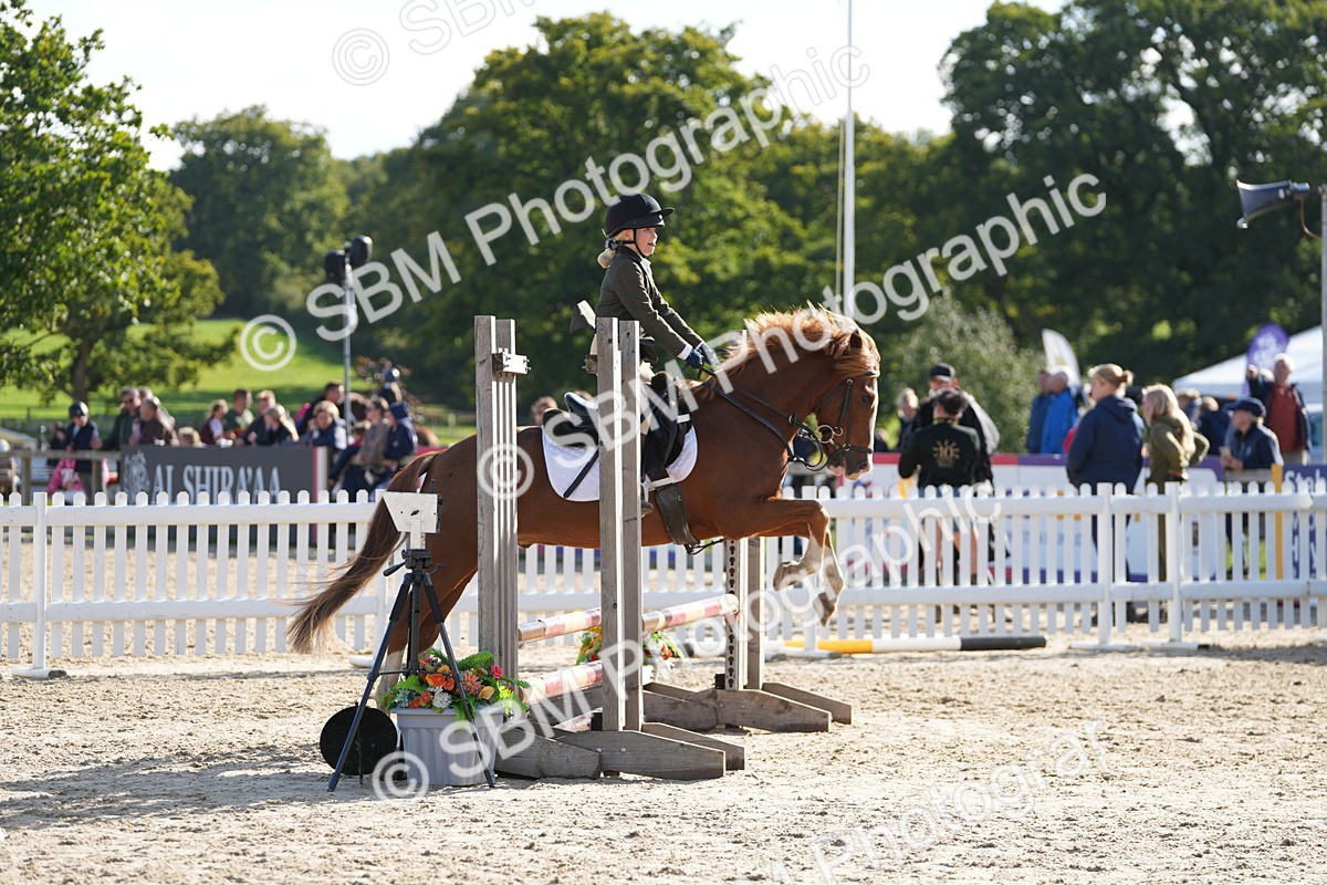 SBM_49366 - J8 - Junior Pony 65cm Championship