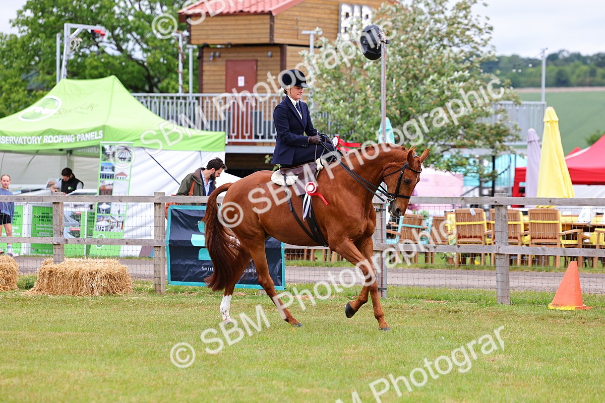 SBM_02784 - Class 9-11 Side Saddle including LIHS Rising Star Ladies Show Horse
