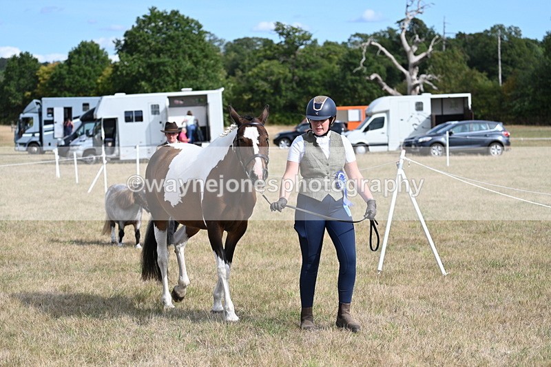 WJ7_8024 - In-hand Championship