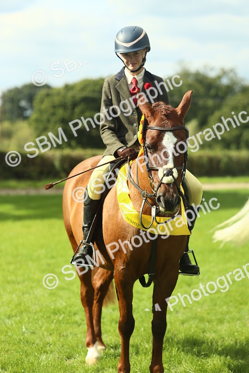 SBM_44981 - Working Hunter Pony Supreme Championship