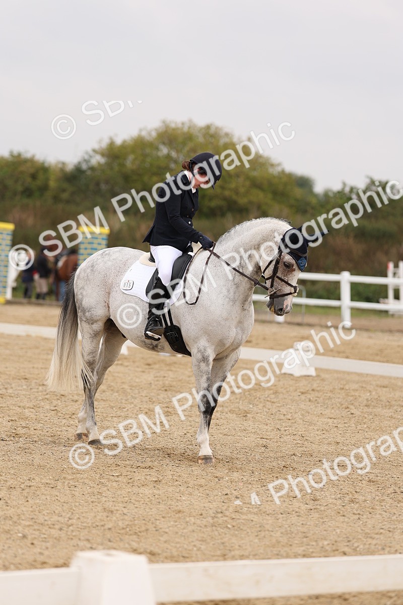 SBM_01627 - Class 9 - Novice 27 Champs