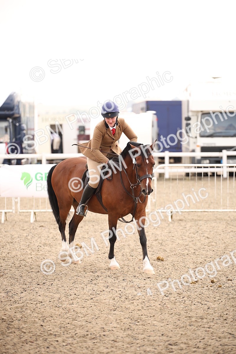 SBM_12251 - Class 405a - M&M Working Veteran 50cm (15-19)