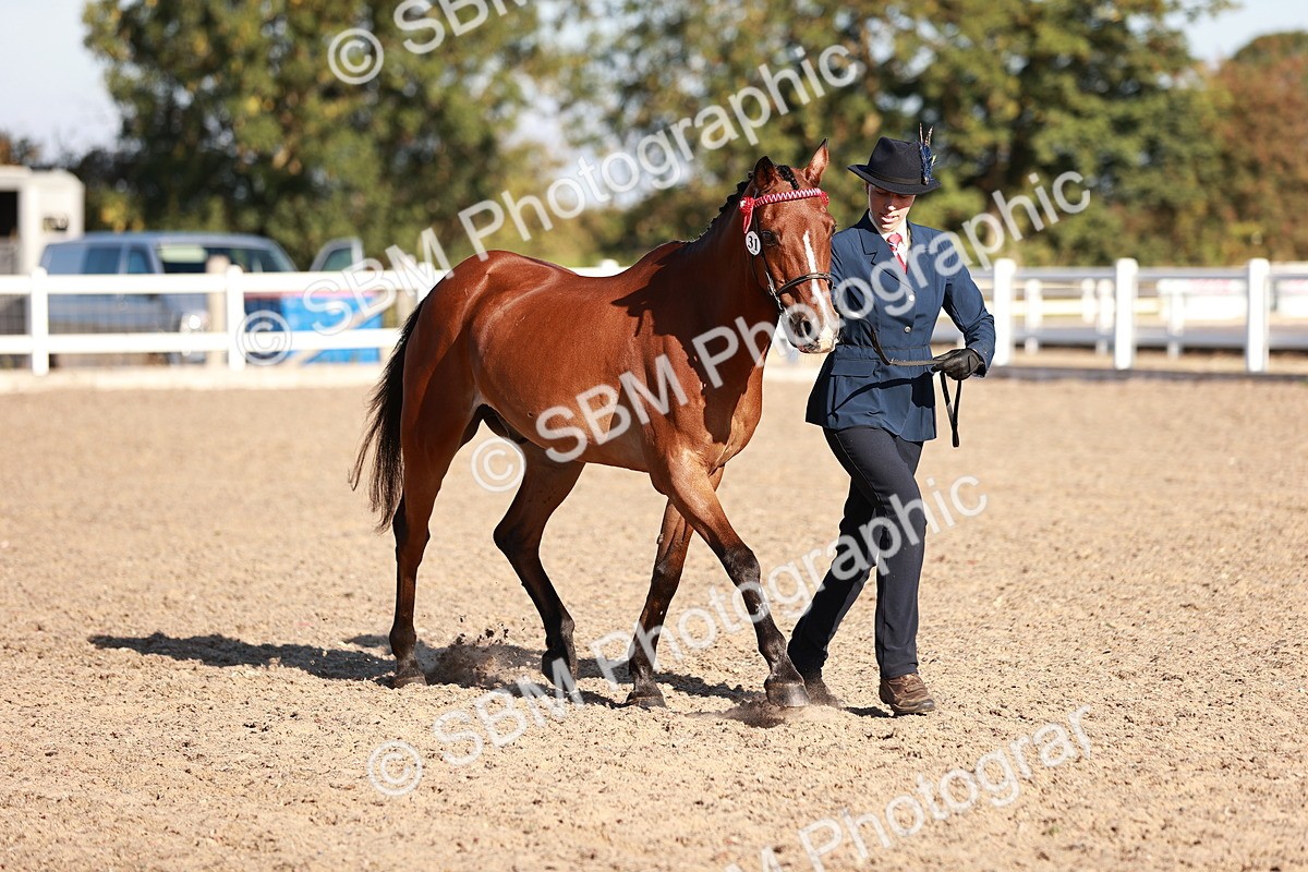 SBM_11450 - Class 402 - IH  Veteran pony