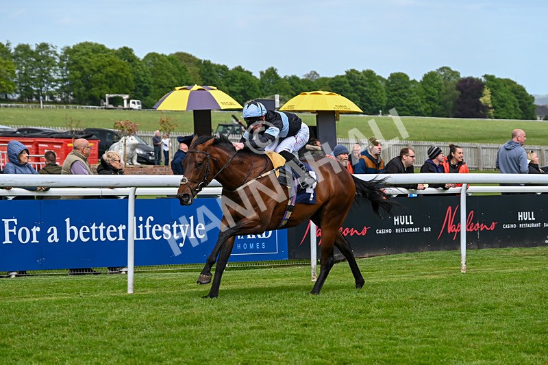 120526-Race 2-Ronson-7527 - Race 2 3.00pm Ire-Incentive, It Pays To Buy Irish