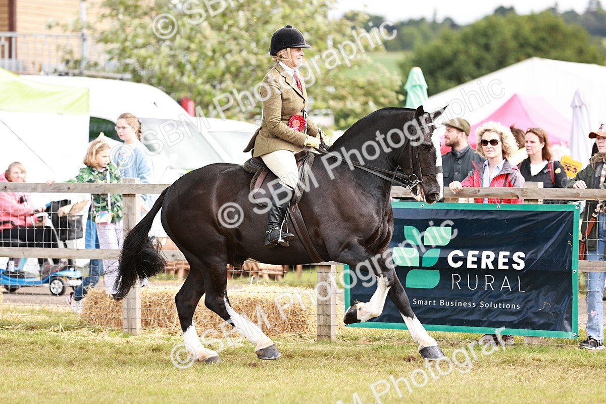 SBM_13154 - Class 85-87 - RIHS Cobs