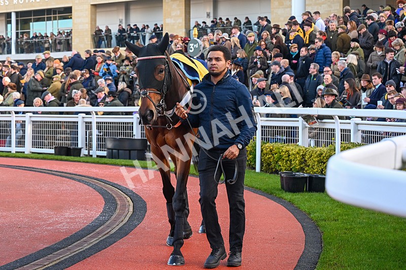 250125-Race 2-Quantock Hills-3034 - Race 2