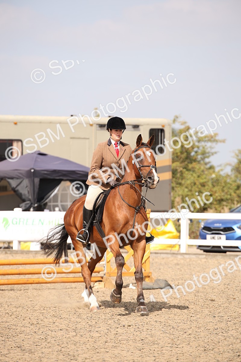 SBM_14270 - Class 407b - Working Veteran 60cm (20+)