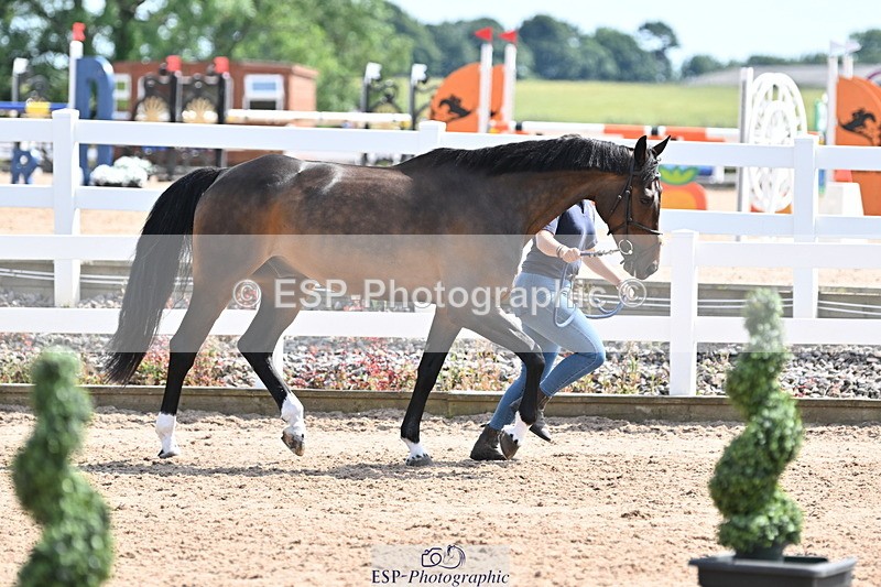 240717A-152158-02787 - Trot Up 3pm to 4pm