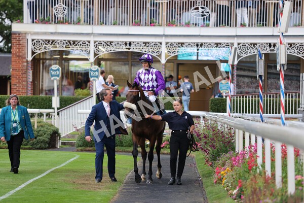 yr22072022r4-46 - Race 4 6.50pm The IRE Incentive It Pays To Buy Irish EBF Restricted Novice Stakes