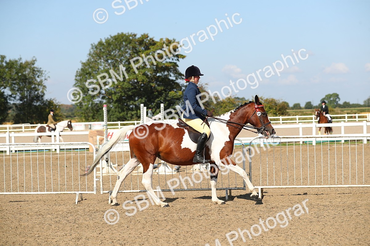 SBM_02218 - Class 43 Ridden Competition Horse/Pony